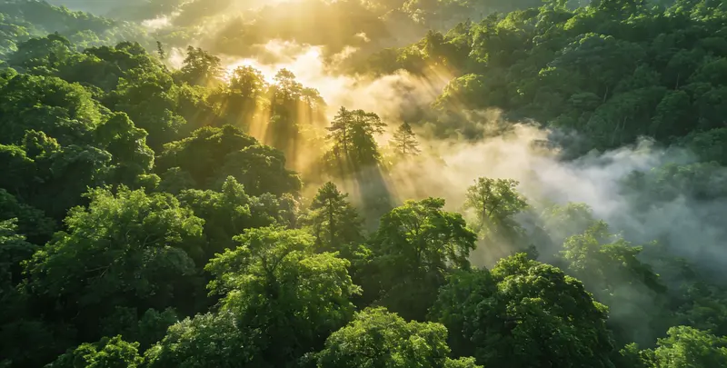 葫芦岛肺癌12基因ctDNA突变检测(血液）图片1