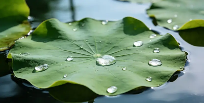 葫芦岛乳腺癌21基因mRNA表达分析图片1